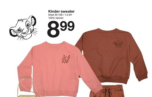 Zeeman Kinder sweater aanbieding