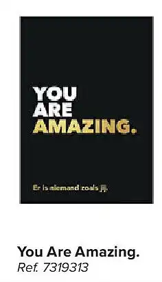 Carrefour You Are Amazing aanbieding