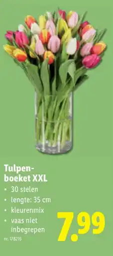 Lidl Tulpenboeket XXL aanbieding
