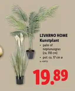 Lidl Kunstplant aanbieding