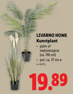 Lidl Livarno home kunstplant aanbieding