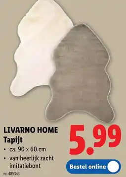 Lidl Livarno home tapijt aanbieding