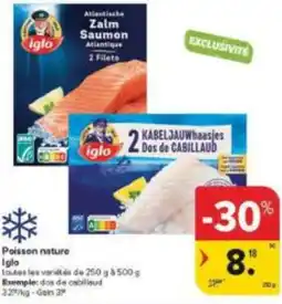 Carrefour Market Iglo Poisson nature aanbieding