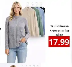 NH Market Trui diverse kleuren miss alice aanbieding