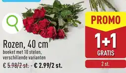 ALDI Rozen, aanbieding