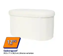 Action Opbergpoef aanbieding