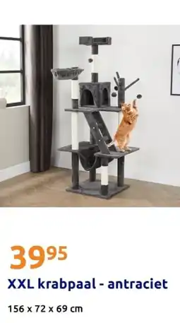 Action XXL krabpaal - antraciet aanbieding