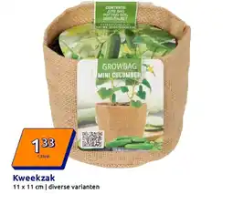 Action Kweekzak aanbieding