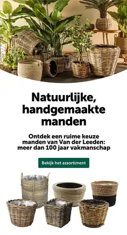AVEVE Natuurlijke, handgemaakte manden aanbieding