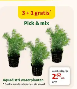 Maxi Zoo Aquadistri waterplanten aanbieding