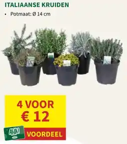 Horta Italiaanse Kruiden aanbieding