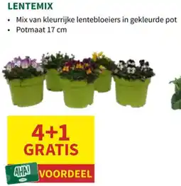 Horta Lentemix aanbieding
