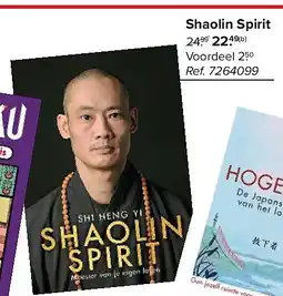 Carrefour Shaolin Spirit aanbieding