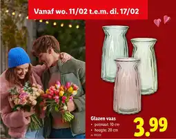 Lidl Glazen vaas aanbieding