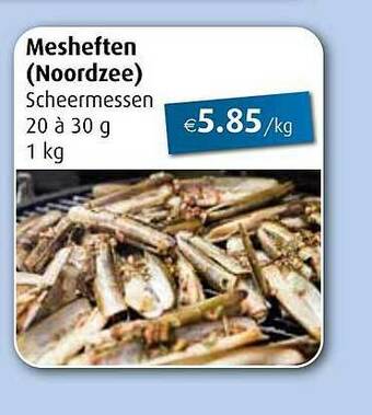 Mesheften