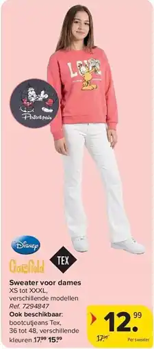 Carrefour Disney Garfield Sweater voor Dames aanbieding