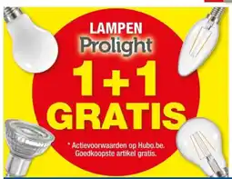 Hubo LAMPEN Prolight aanbieding