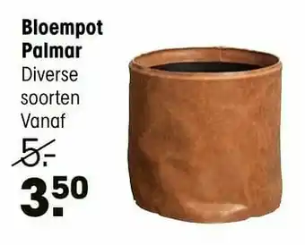 Kwantum Bloempot palmar aanbieding