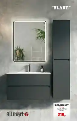 Hubo Blake Kolomkast aanbieding