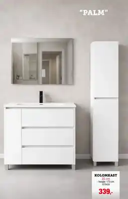 Hubo Palm Kolomkast aanbieding