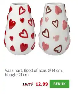 Intratuin Vaas hart aanbieding