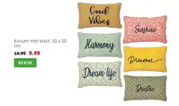 Intratuin Kussen met tekst aanbieding