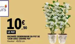 E.Leclerc Orchidée dendrobium en pot de 12cm avec couvre pot aanbieding