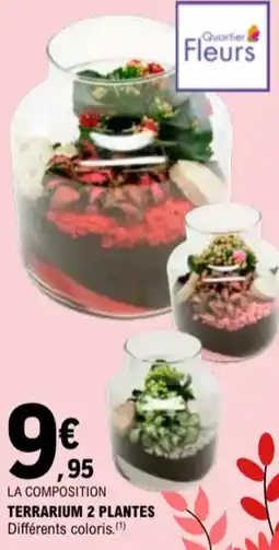 E.Leclerc Terrarium 2 plantes aanbieding