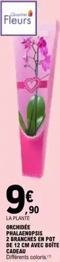 E.Leclerc Orchidée phalaenopsis 2 branches en pot de 12 cm avec boîte cadeau aanbieding