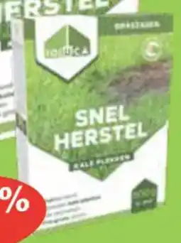 HandyHome Toluca Snel Herstel Gazon aanbieding