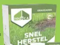 HandyHome Toluca Snel Herstel Gazon aanbieding