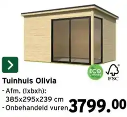 GAMMA Tuinhuis Olivia aanbieding