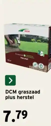 GAMMA DCM graszaad plus herstel aanbieding