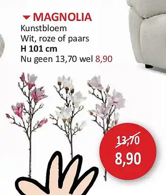 MAGNOLIA