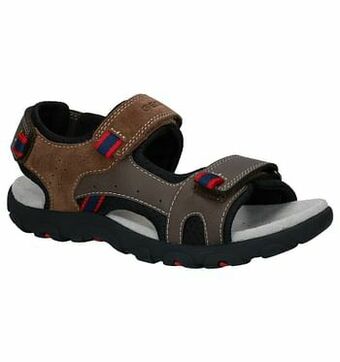 Torfs Geox Bruine Sandalen aanbieding