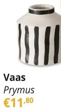 YGO Vaas Prymus aanbieding