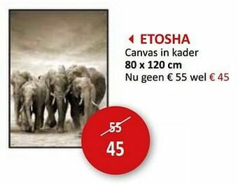 Weba Etosha canvas in kader aanbieding