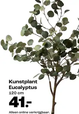 Kwantum Kunstplant Eucalyptus aanbieding