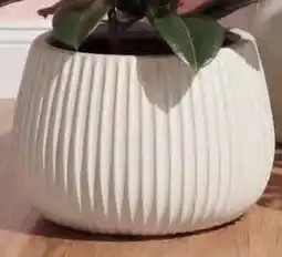 Kwantum Bloempot Piney Off-white aanbieding