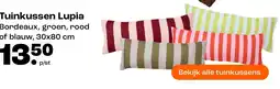 Kwantum Tuinkussen Lupia aanbieding