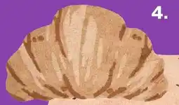 Kwantum Croissant Vloerkleden aanbieding