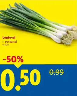Lidl Lente-ui aanbieding