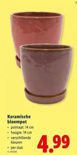 Lidl Keramische bloempot aanbieding