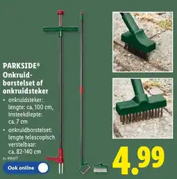 Lidl Parkside Onkruidborstel Set of Onkruidsteker aanbieding