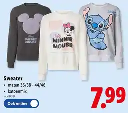 Lidl Sweater aanbieding