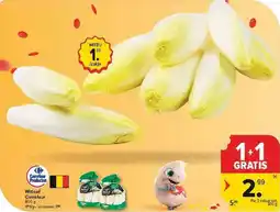 Carrefour Witloof Carrefour aanbieding