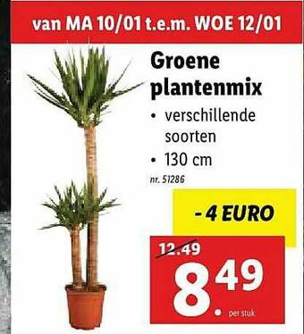 Groene Plantenmix