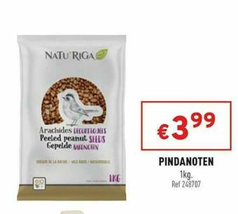 Pindanoten