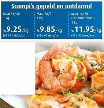 Aronde Scampi’s gepeld en ontdarmd aanbieding