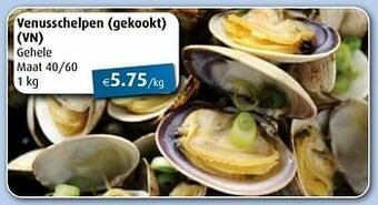 Aronde Venusschelpen gekookt aanbieding